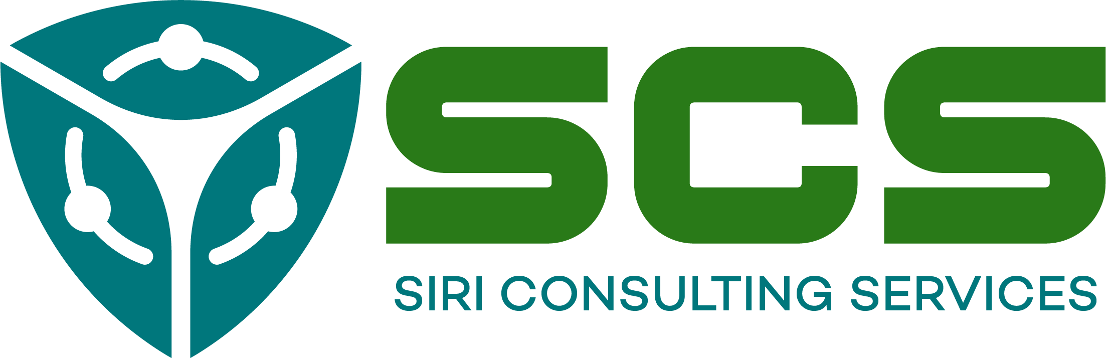 Siri Consulting Services - Cyber Security Agency USA